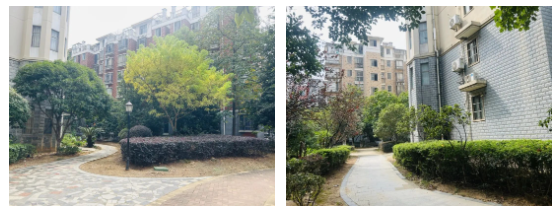 1697706034263.png 1697706034263.png