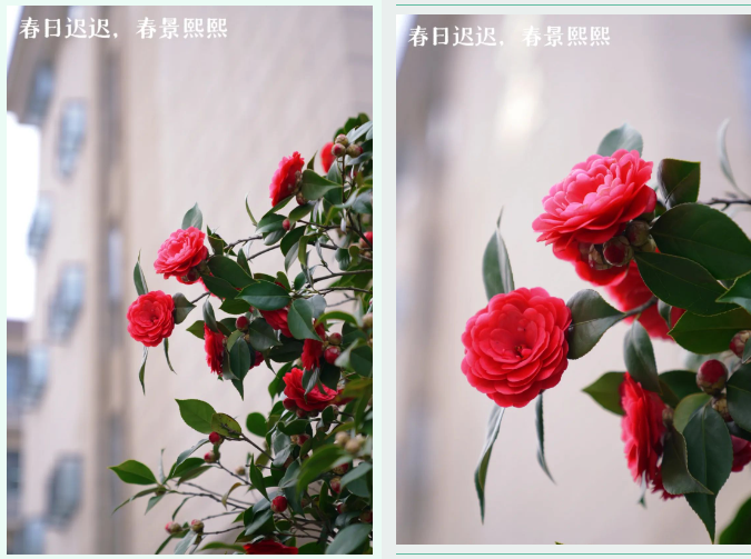 1711855616712.jpg 1711855616712.jpg