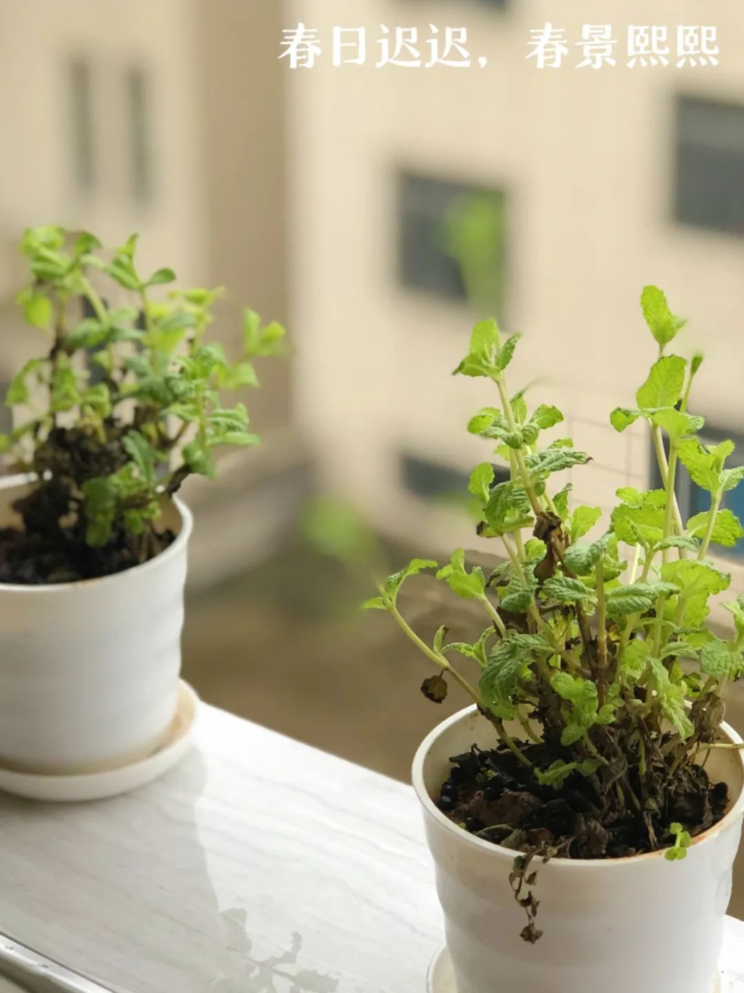 e2b0e1753c461e99642a85ed08128e53.jpg e2b0e1753c461e99642a85ed08128e53.jpg