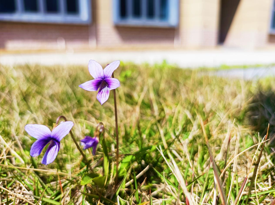 908747bc10851cfc372bddc6448ca505.png 908747bc10851cfc372bddc6448ca505.png