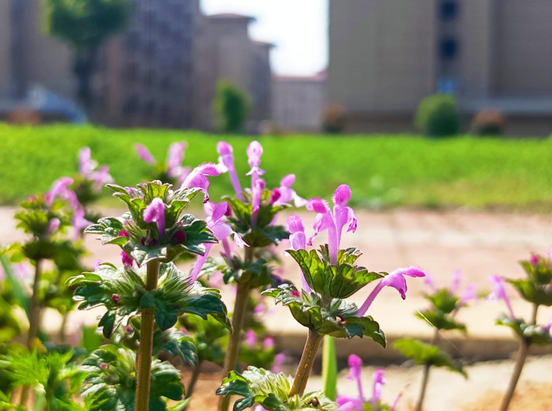 9eb3958eb3ede66831e6e98bcd866b95.png 9eb3958eb3ede66831e6e98bcd866b95.png