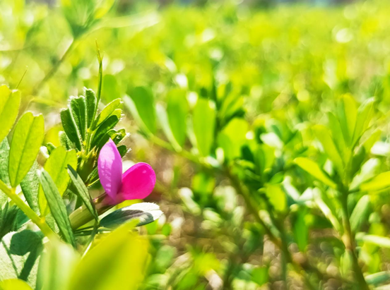 f0612b93c1c4c2277ba704f7c7305bf1.png f0612b93c1c4c2277ba704f7c7305bf1.png