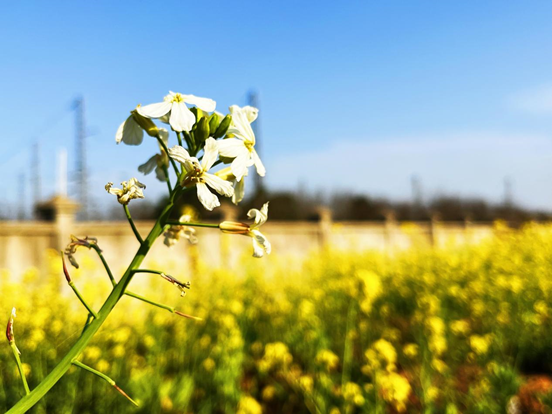 d63746b857943c865b22dcad7273176c.png d63746b857943c865b22dcad7273176c.png