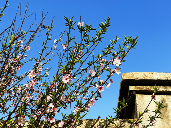 96db45dd23deba14d96139c0d13f2ec6.png 96db45dd23deba14d96139c0d13f2ec6.png